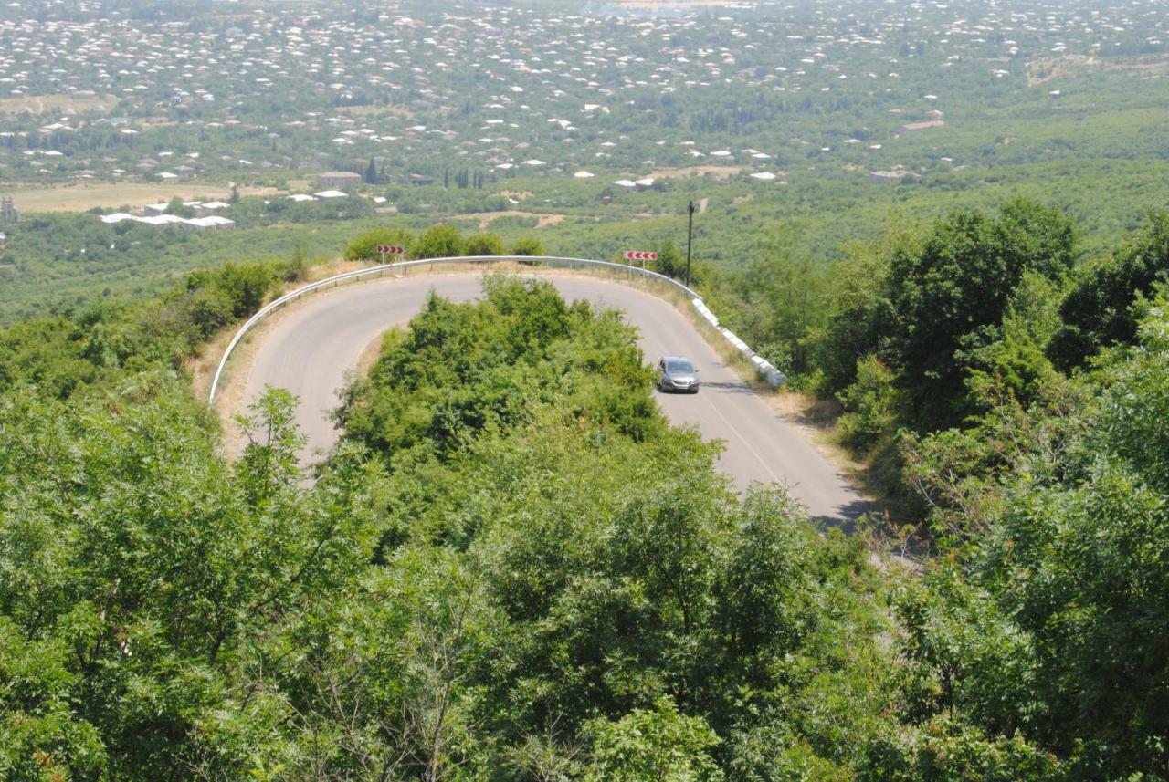 Tsanava'S Cottage In Sighnaghi Exterior foto